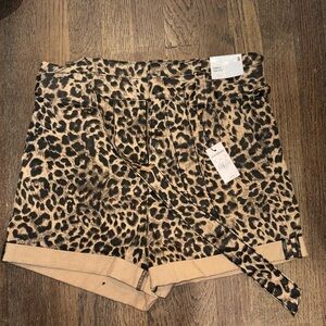 Express Shortie High Rise Shorts